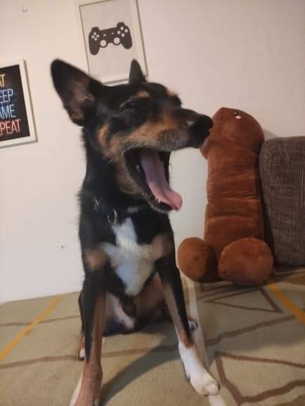 Peen Plushie style 2