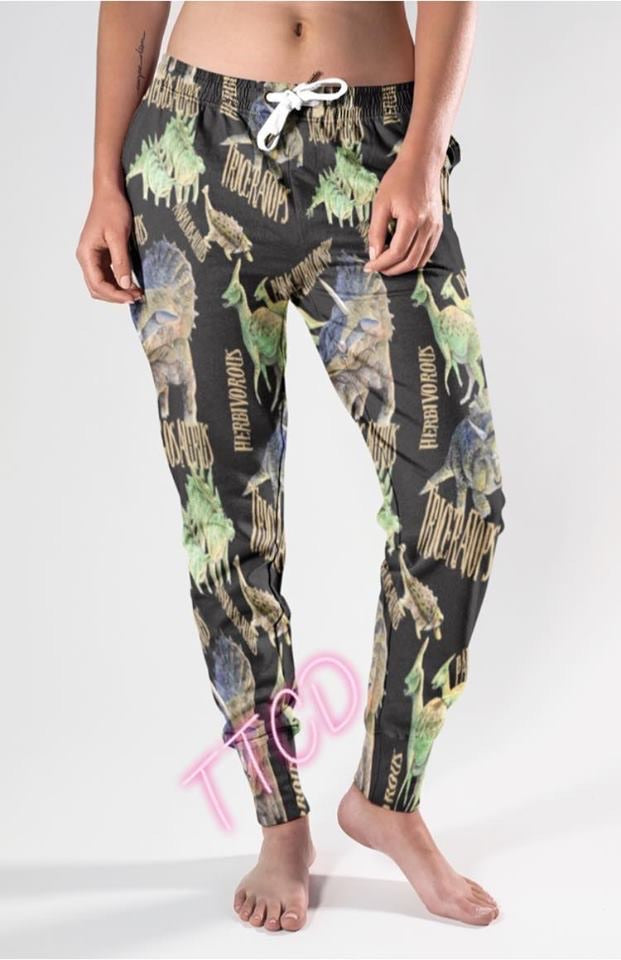 Dinosaurs legging