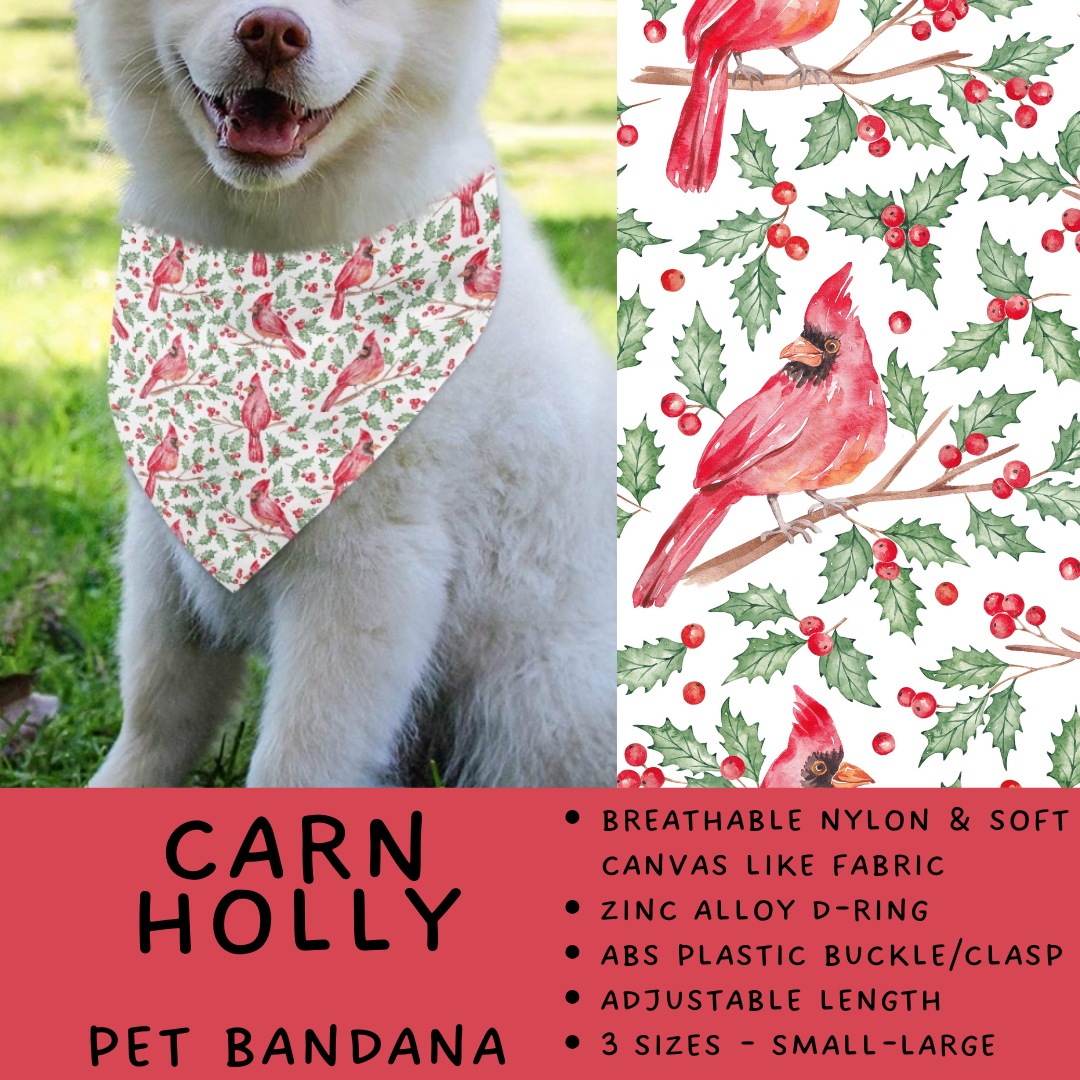 Batch #576 - Pet Gear 2 - Closes 8/28 - ETA late October - Carn Holly Pet Bandana