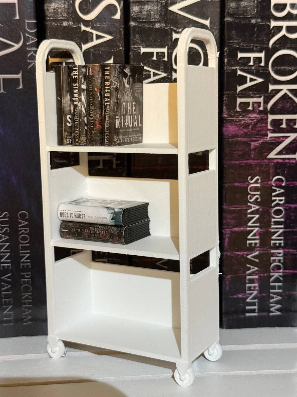 Mini book shelf